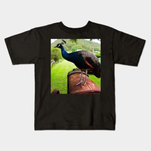 Peacock on a Tractor Kids T-Shirt